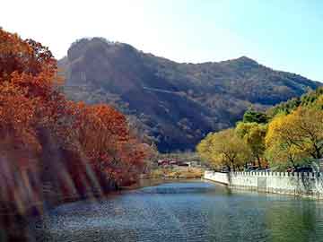 新澳门二四六天天彩，医药压片机